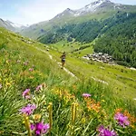 Jonquille 2c - Peaks Getaway Daire *