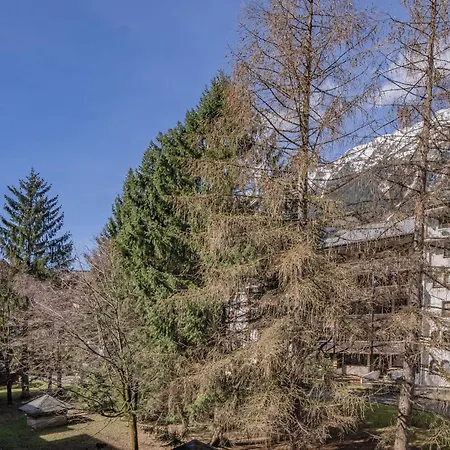 Jonquille 2c - Peaks Getaway Chamonix